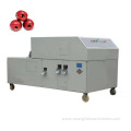 Commercial or Industrial use cherry pitter machine